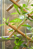 Lauvring Longo bambus espalier 60 cm x 120 cm